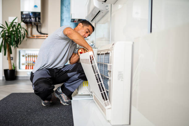 Best Professional Duct Cleaning Services  in Dawsonville, GA