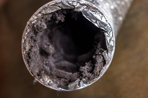 Best Affordable Air Duct Cleaning  in Dawsonville, GA